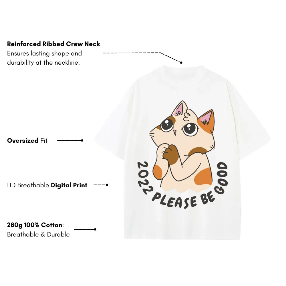 2022 Please Be Good Heavyweight Oversized White Graphic Tee - Image 3