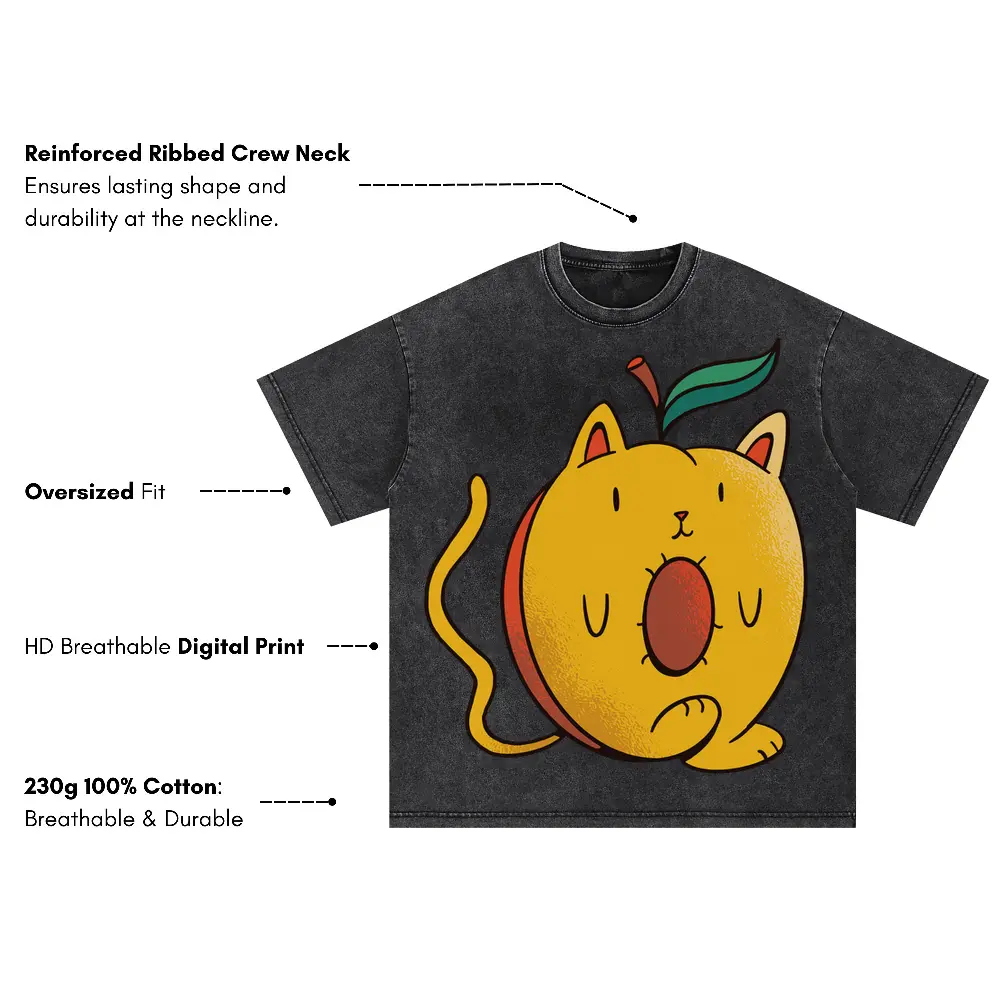 Apricat Oversized Acid Wash T-shirt - Image 3