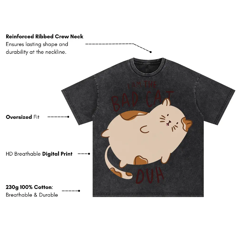 Bad Cat Oversized Acid Wash T-shirt - Image 3