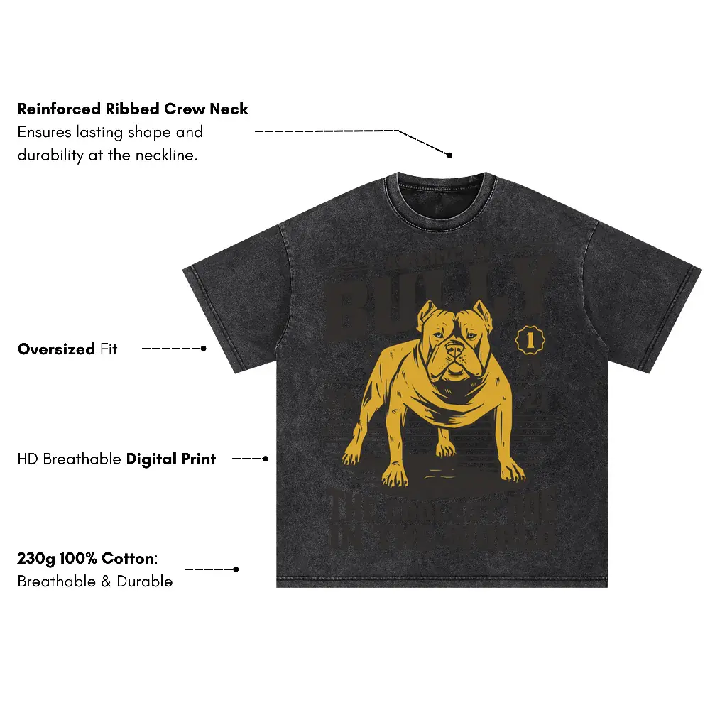 American Bully Oversized Acid Wash T-shirt - Image 3