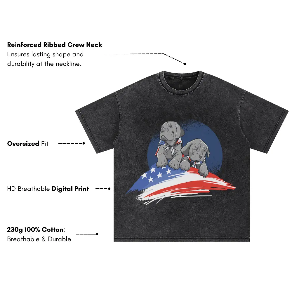 American Dogs Oversized Acid Wash T-shirt - Image 3