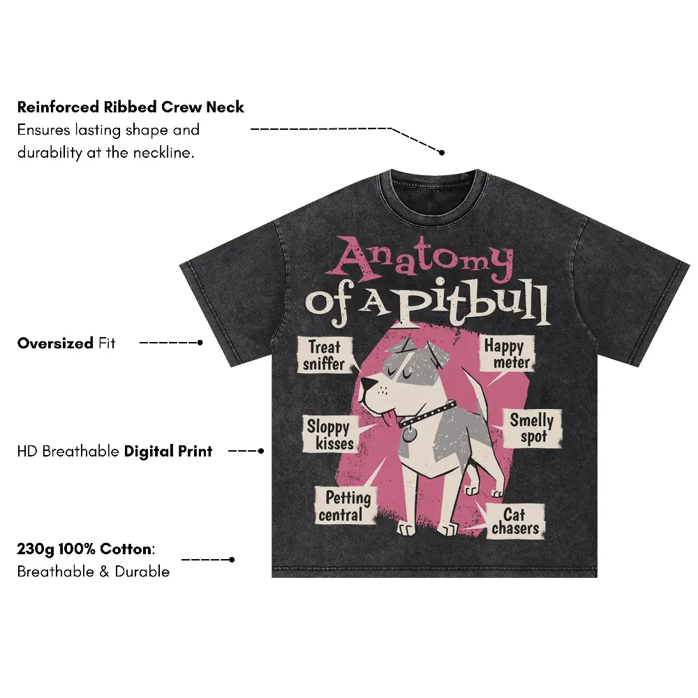 Anatomy Of Apitbull T Oversized Acid Wash T-shirt - Image 3