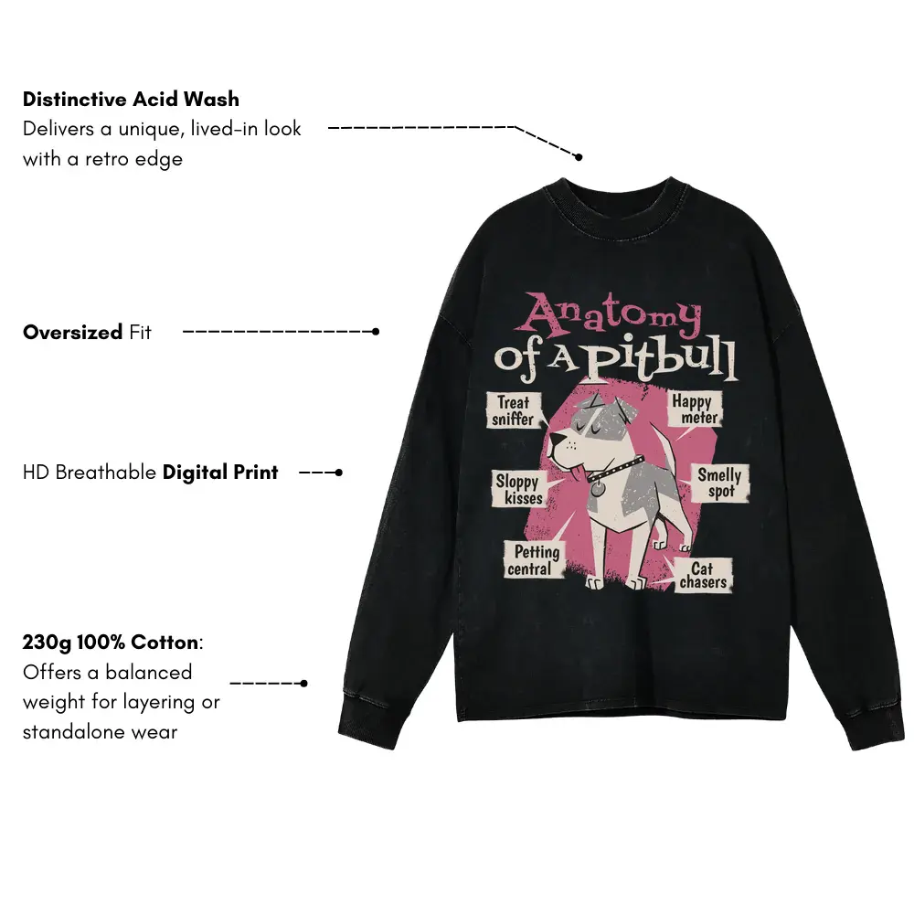 Anatomy Of Apitbull T Acid Wash Oversized Long Sleeve Shirt - Image 3