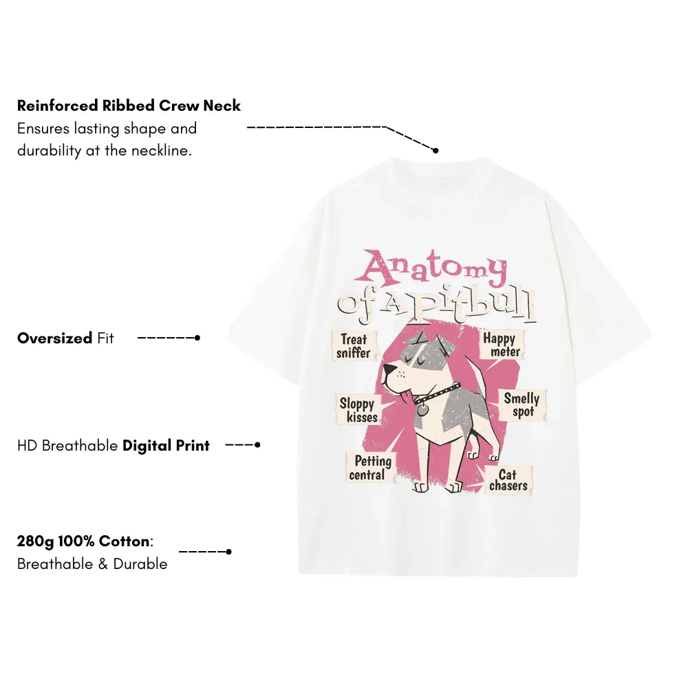 Anatomy Of Apitbull T Heavyweight Oversized White Graphic Tee - Image 3