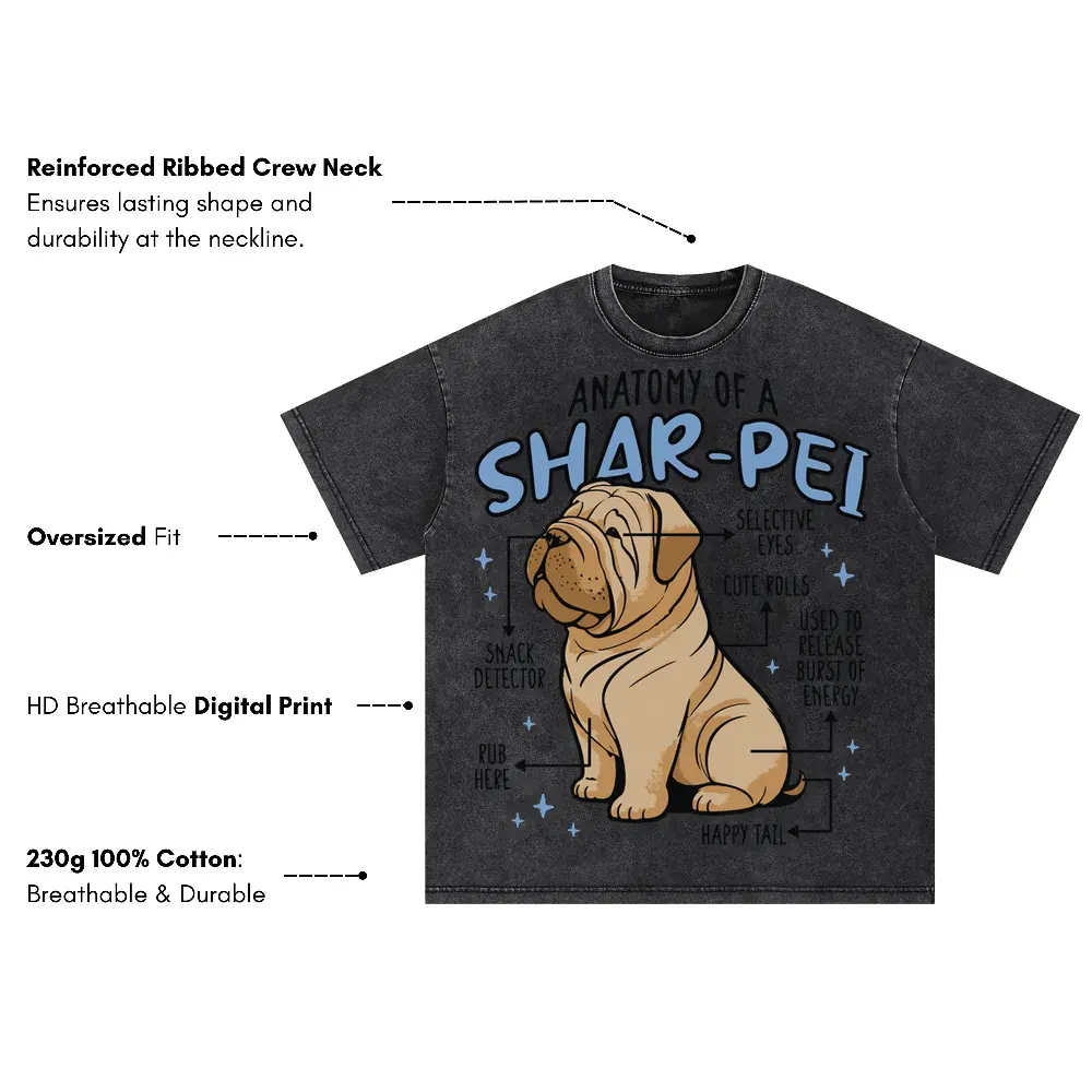 Anatomyofasharpei Vex Oversized Acid Wash T-shirt - Image 3