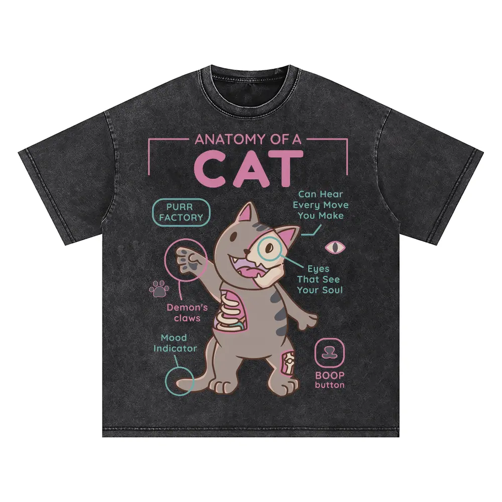 Anatomy Of A Cat Oversized Acid Wash T-shirt