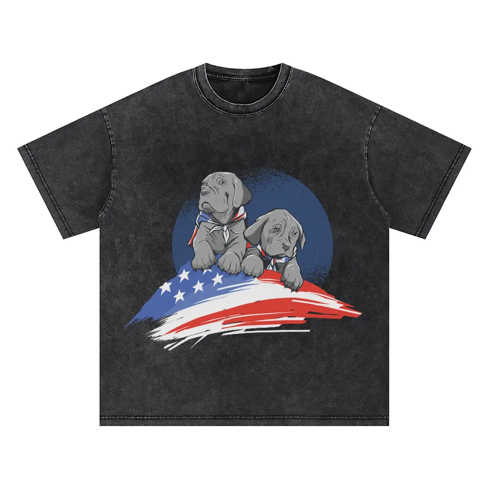 American Dogs Oversized Acid Wash T-shirt