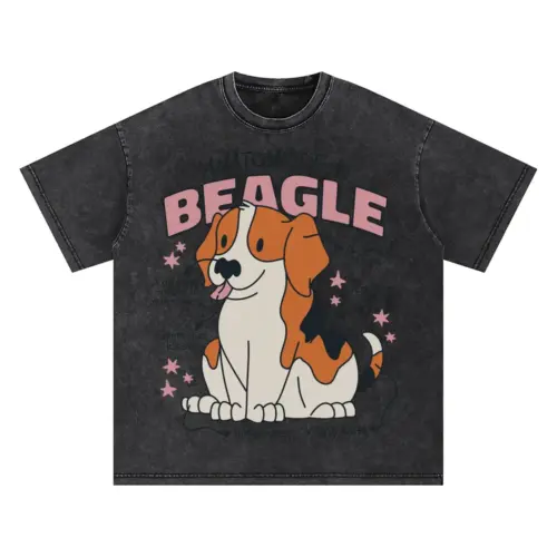 Anatomyofabeagle Oversized Acid Wash T-shirt