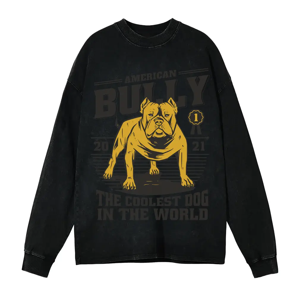 American Bully Acid Wash Oversized Long Sleeve Shirt
