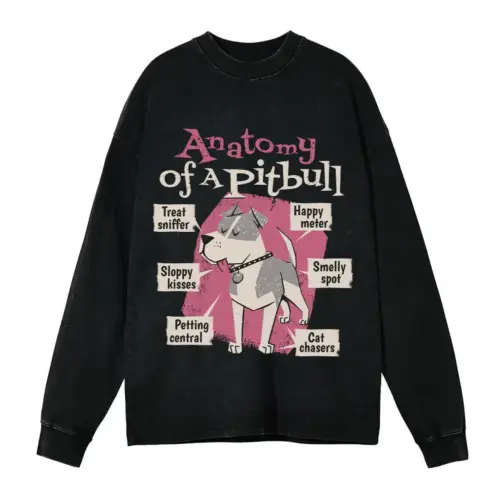 Anatomy Of Apitbull T Acid Wash Oversized Long Sleeve Shirt