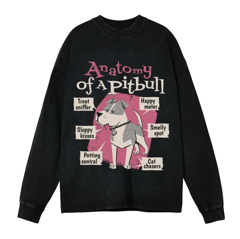 Anatomy Of Apitbull T Acid Wash Oversized Long Sleeve Shirt