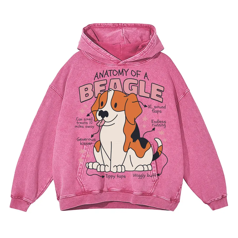 Anatomyofabeagle Acid Wash Oversized Pink Hoodie